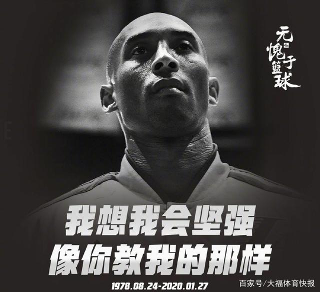 案例速览 案例速览